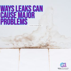 Leak repair by cs1 real interiors inc.