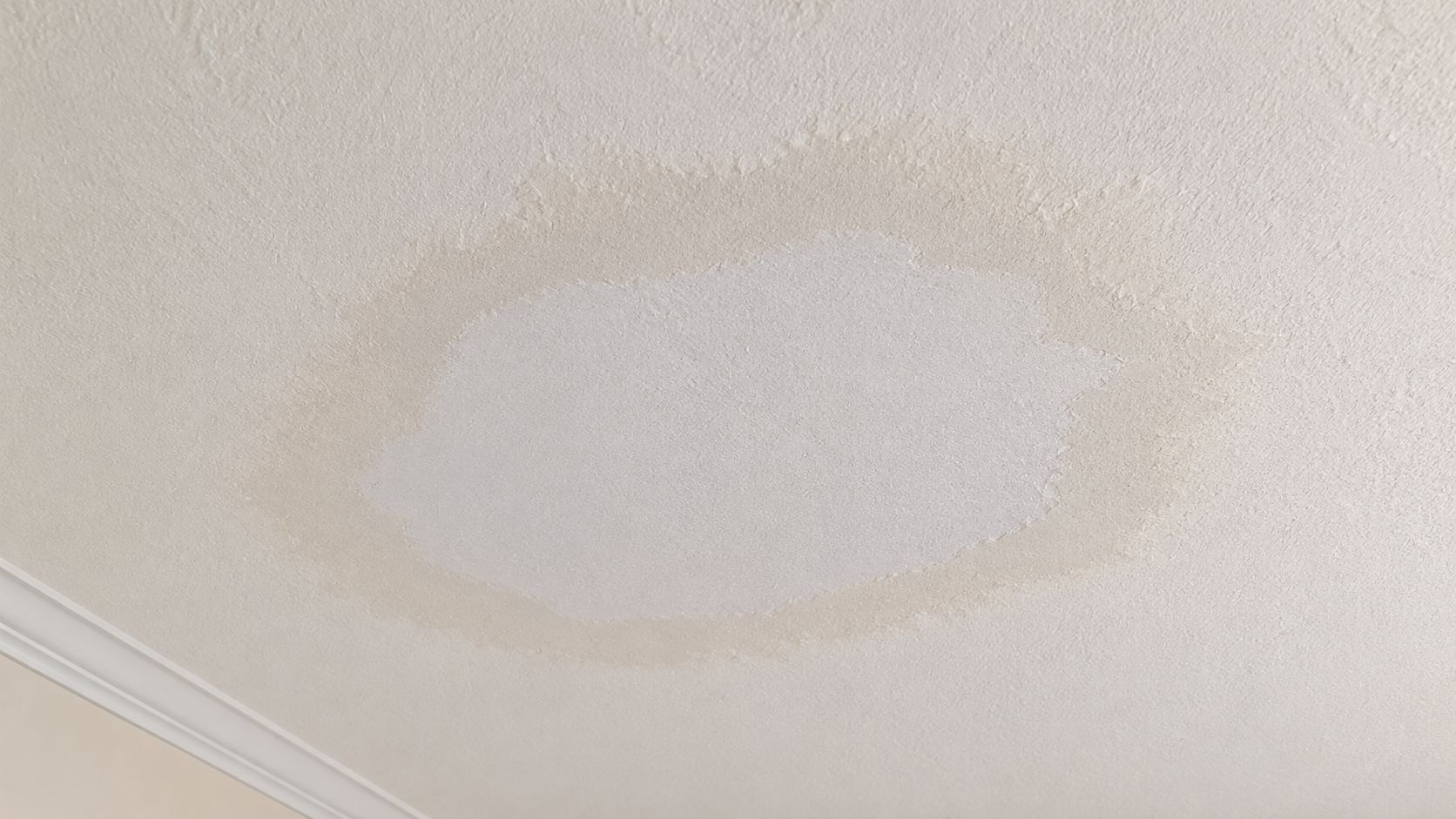 A close-up view of a noticeable water stain on a residential interior ceiling with textured paint.